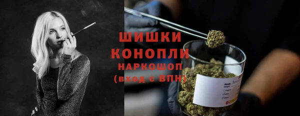 индика Каменск-Шахтинский