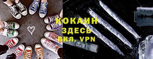 гидропоника Каменка