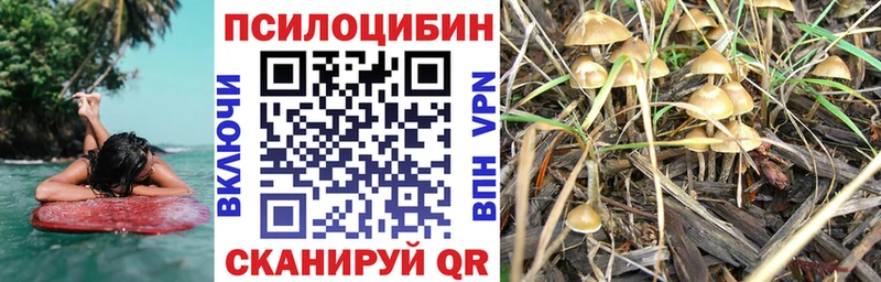 Галлюциногенные грибы ЛСД купить цена Ачхой-Мартан